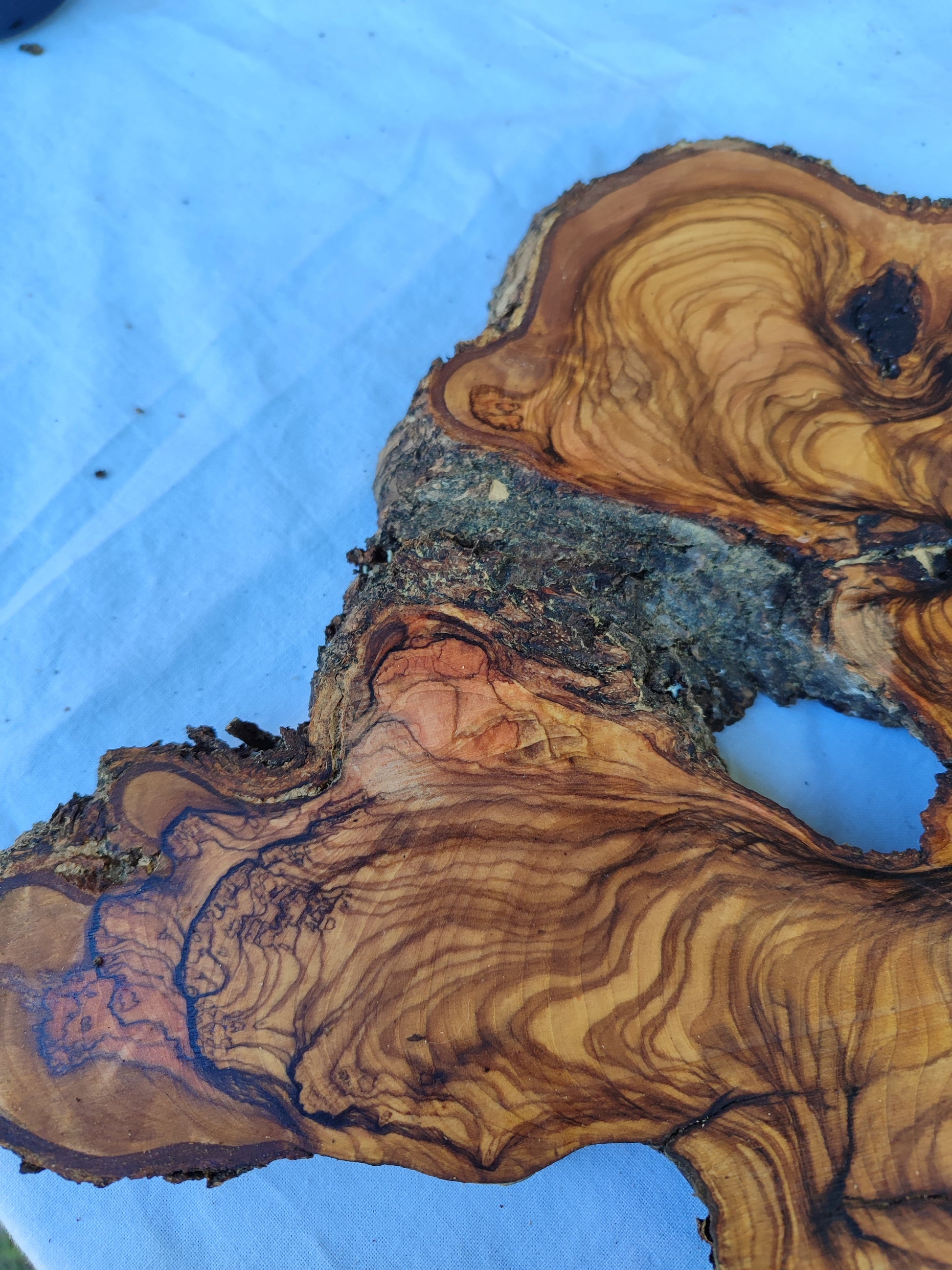 3pcs Rare Live Edge Olive Wood Slab 55x56cm | Super Dry 3% Moisture | Unique Grain for Epoxy Resin, Guitar Body & Luxury Art.