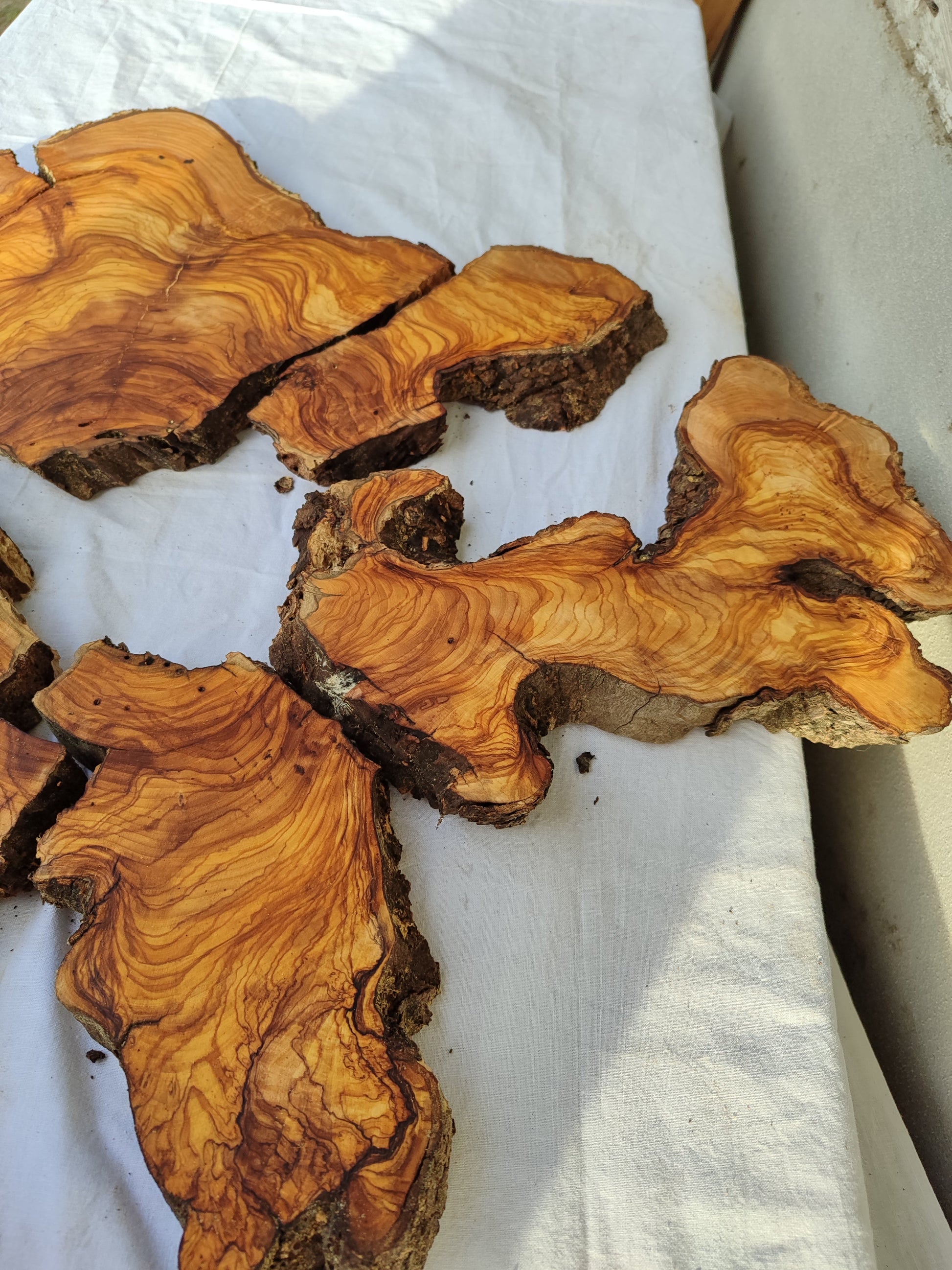 Rare Olive Wood Slab 23"x23" | Live Edge Epoxy Table Top | Premium Luthier Wood | Dry Exotic Lumber | Unique Grain DIY Art 58x59cm.