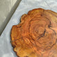 Rare Olive Wood Slab – Live Edge Unique Grain Sustainable Luxury for Epoxy Table & Craft - Olive Generic