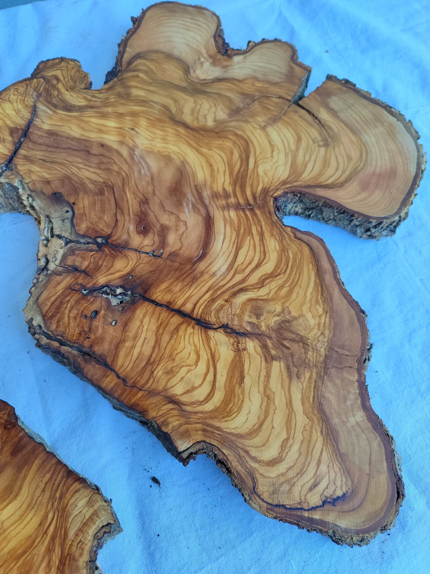 Rare Olive Wood Slab Set 2pcs 53x53cm - Super Dry 3% Moisture - Live Edge for Epoxy Resin, Guitar Body & Luxury Decor - Unique Grain.