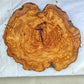 Rare Olive Wood Live Edge Slab – 40x44x3 cm Unique Grain Sustainable Luxury for Epoxy Table Clock & Crafts - Olive