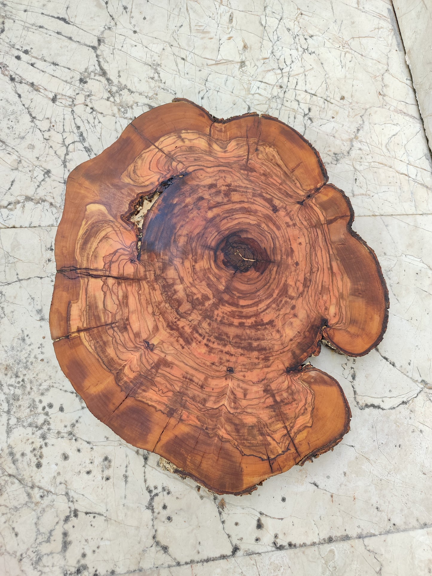Rare Olive Wood Slab – Live Edge, Unique Grain, Sustainable Luxury for Epoxy, Table & Craft