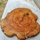Rare Olive Wood Live Edge Slab – 39x42x2.5 cm – Unique Grain Sustainable Luxury for Epoxy & Crafts - Olive Generic