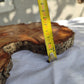 Rare Olive Wood Live Edge Slab – Sustainable Luxury Unique Grain 37x40x2.5cm Premium Natural Finish - Olive Generic