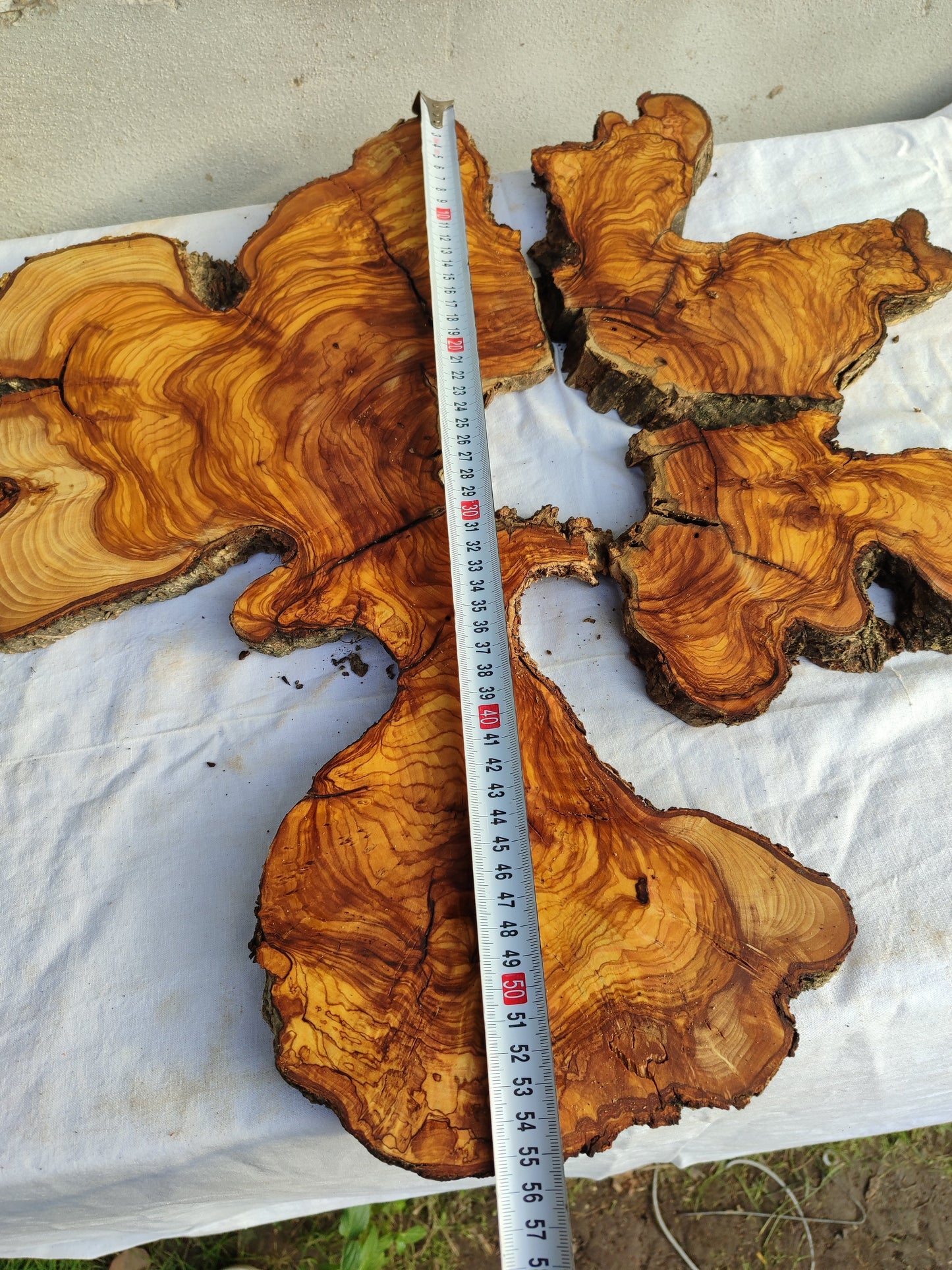 Rare Olive Wood Slab 53x55cm - Live Edge for Epoxy Resin & Coffee Table.