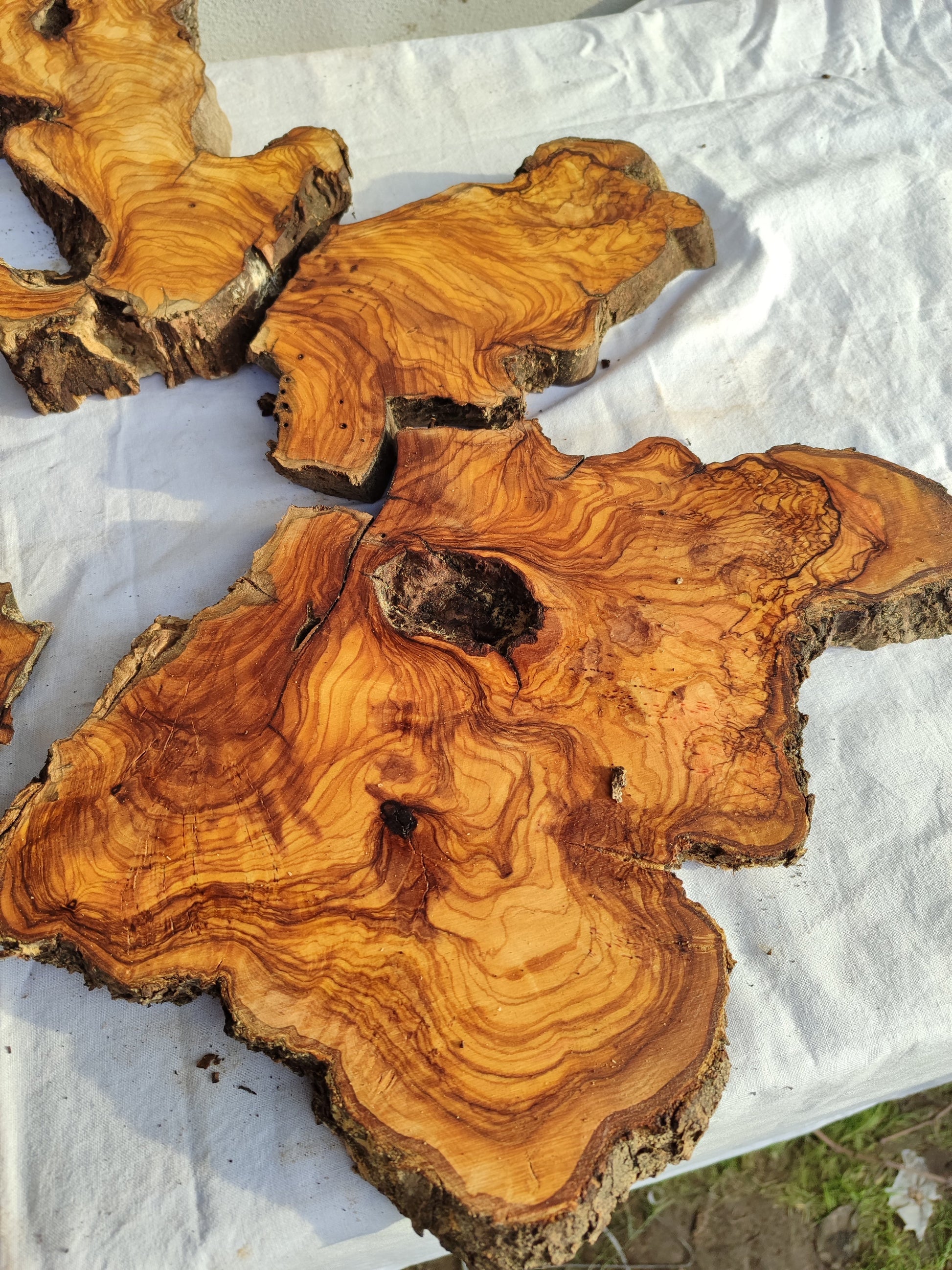Rare Olive Wood Slab 23"x23" | Live Edge Epoxy Table Top | Premium Luthier Wood | Dry Exotic Lumber | Unique Grain DIY Art 58x59cm.
