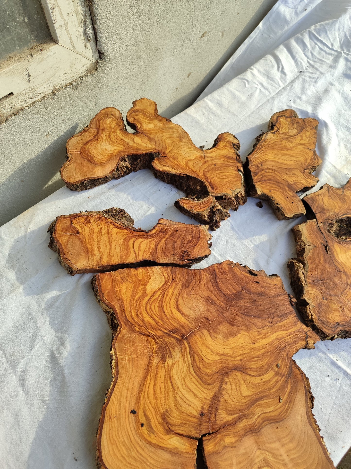 Rare Olive Wood Slab 23"x23" | Live Edge Epoxy Table Top | Premium Luthier Wood | Dry Exotic Lumber | Unique Grain DIY Art 58x59cm.