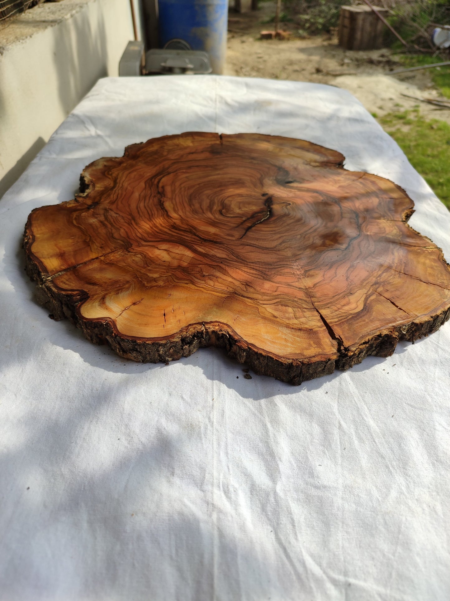 Rare Olive Wood Slab – Live Edge Unique Grain Sustainable Luxury for Epoxy Table & Craft - Olive Generic