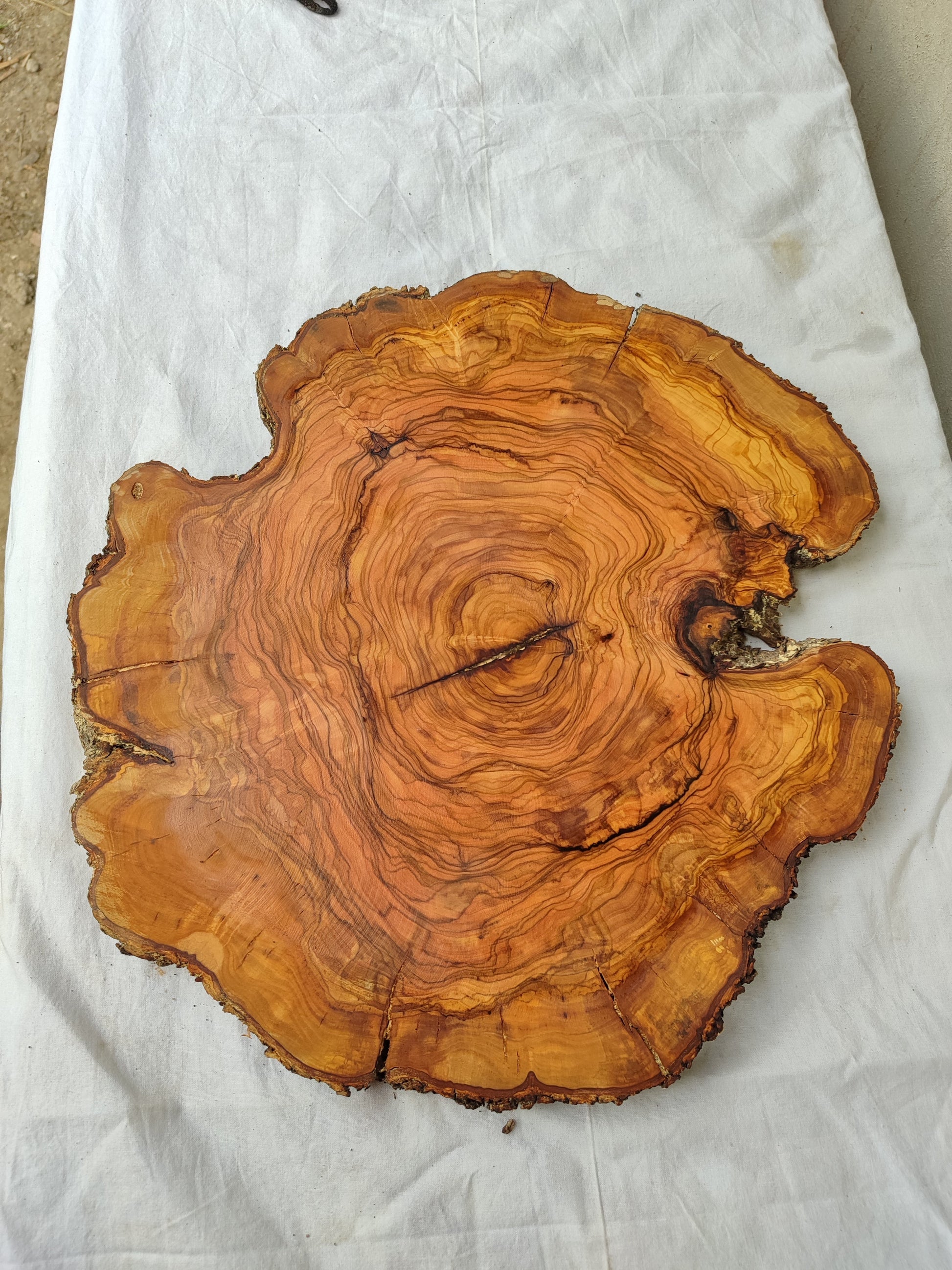 Rare Olive Wood Slab – Live Edge Unique Grain Sustainable Luxury – 40x42x2.5cm Premium Natural Luster - Olive Generic