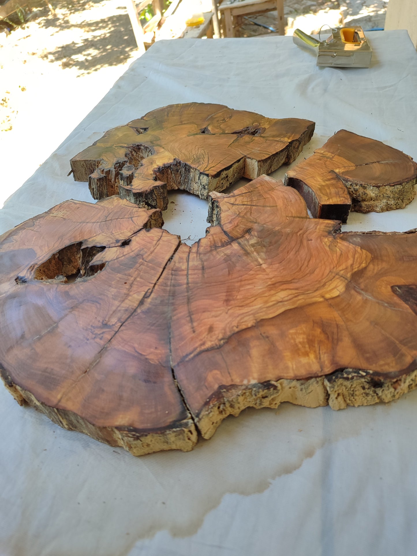 Rare Olive Wood Slab – Live Edge, Unique Grain, Sustainable Luxury | 40x44x2.5 cm