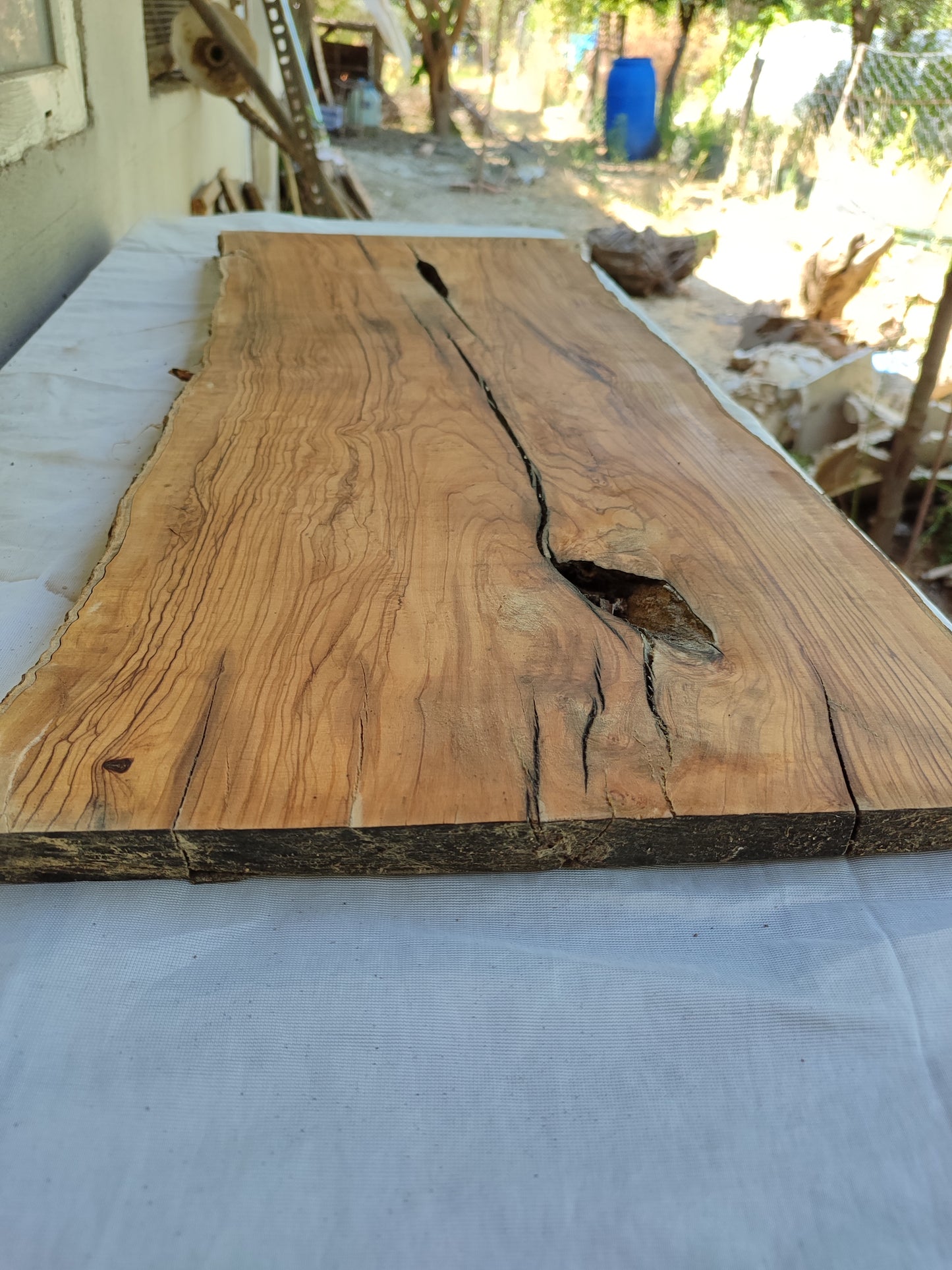 Rare Olive Wood Live Edge Slab – 31x78x3 cm, Unique Grain, Sustainable Luxury
