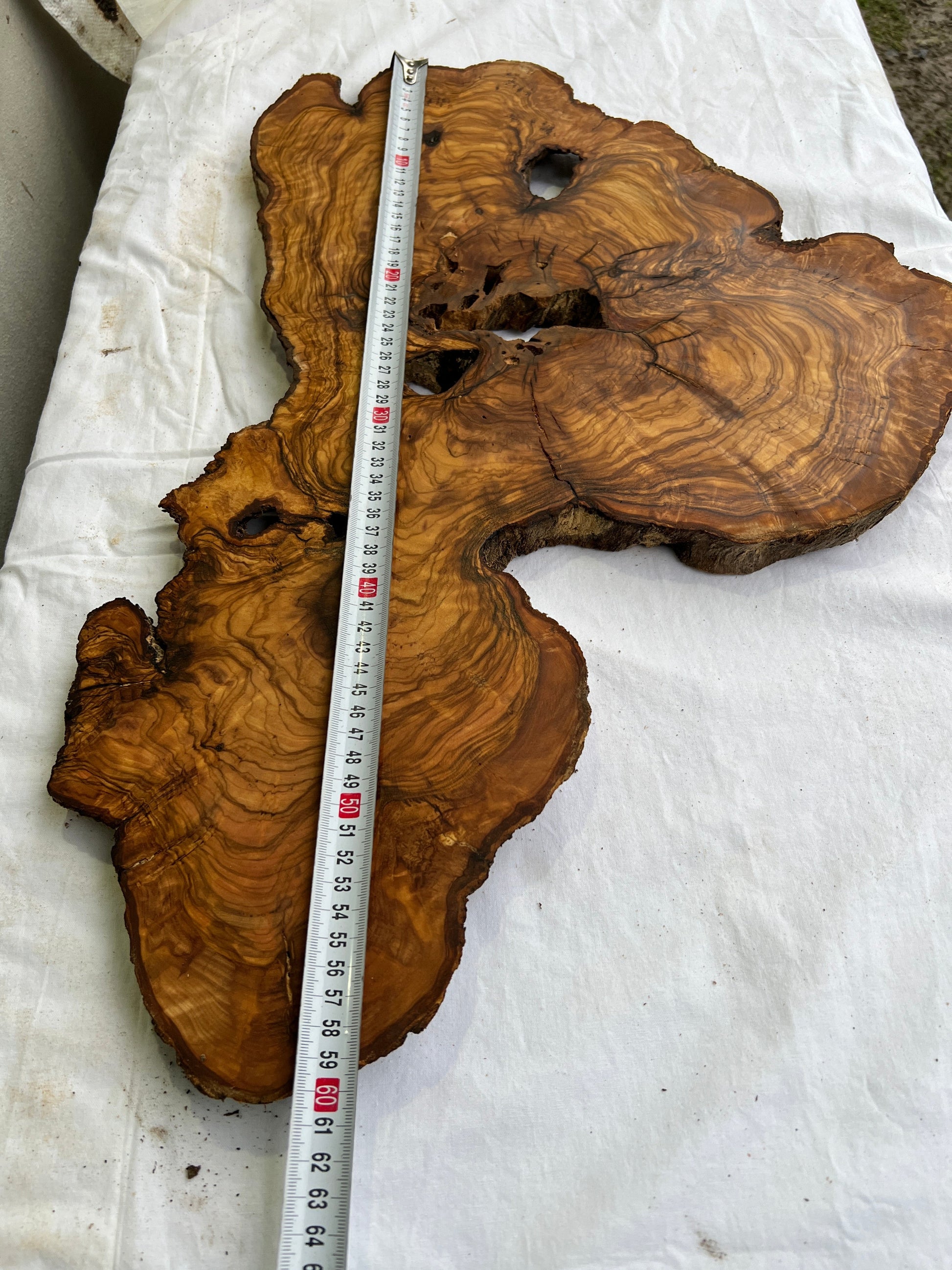 Rare Olive Wood Slab Live Edge 37x60cm | Unique Grain for Epoxy Resin & Coffee Table | Premium Luthier Wood | Sustainable Luxury Art.