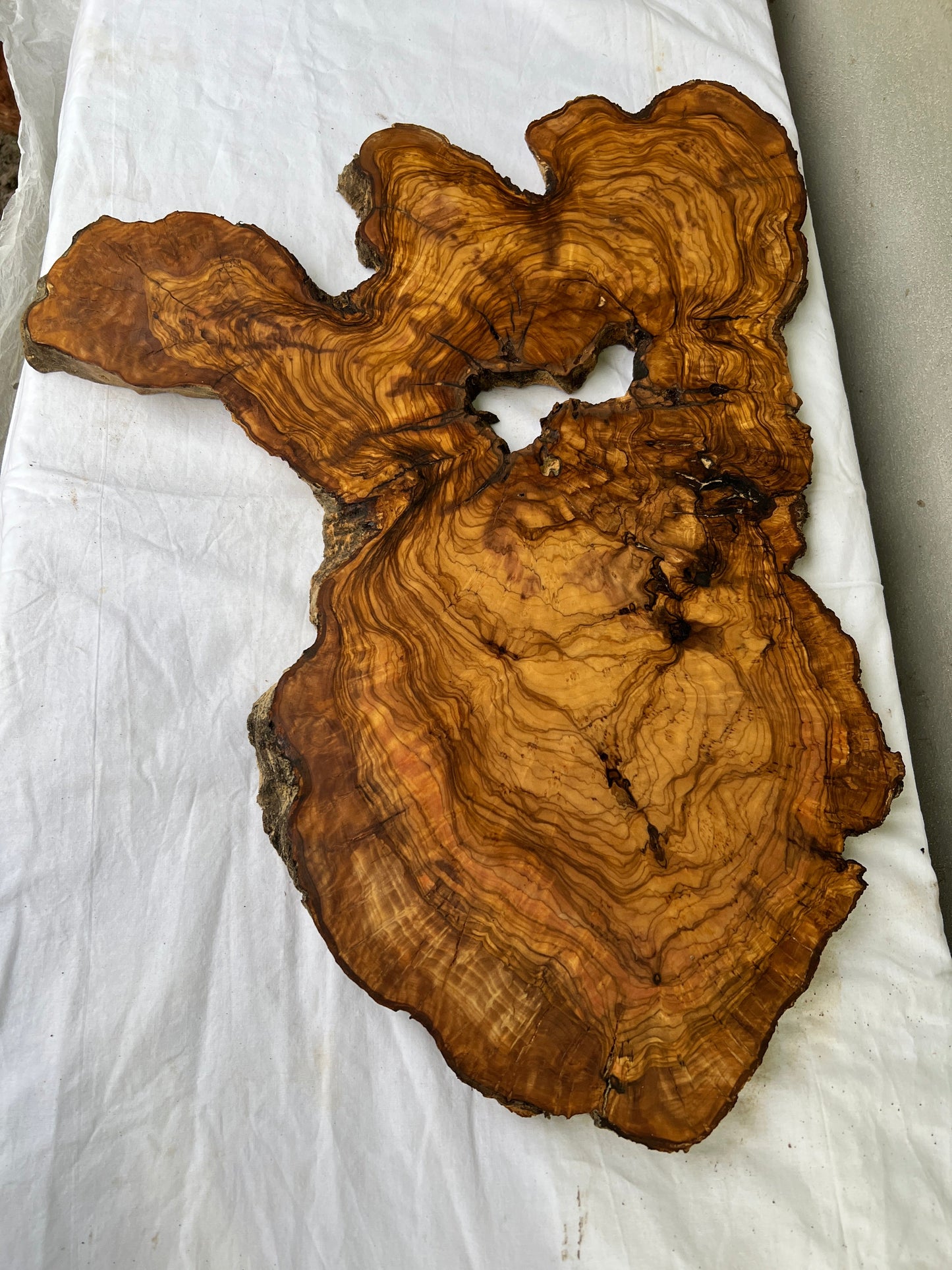 Rare Olive Wood Live Edge Slab 46x66cm - Super Dry Unique Grain for Epoxy Resin Art, Coffee Table & Luthier Craft - Sustainable Luxury.