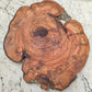 Rare Olive Wood Live Edge Slab – 32x40 cm Premium Sustainable Luxury, Unique Grain & Natural Luster