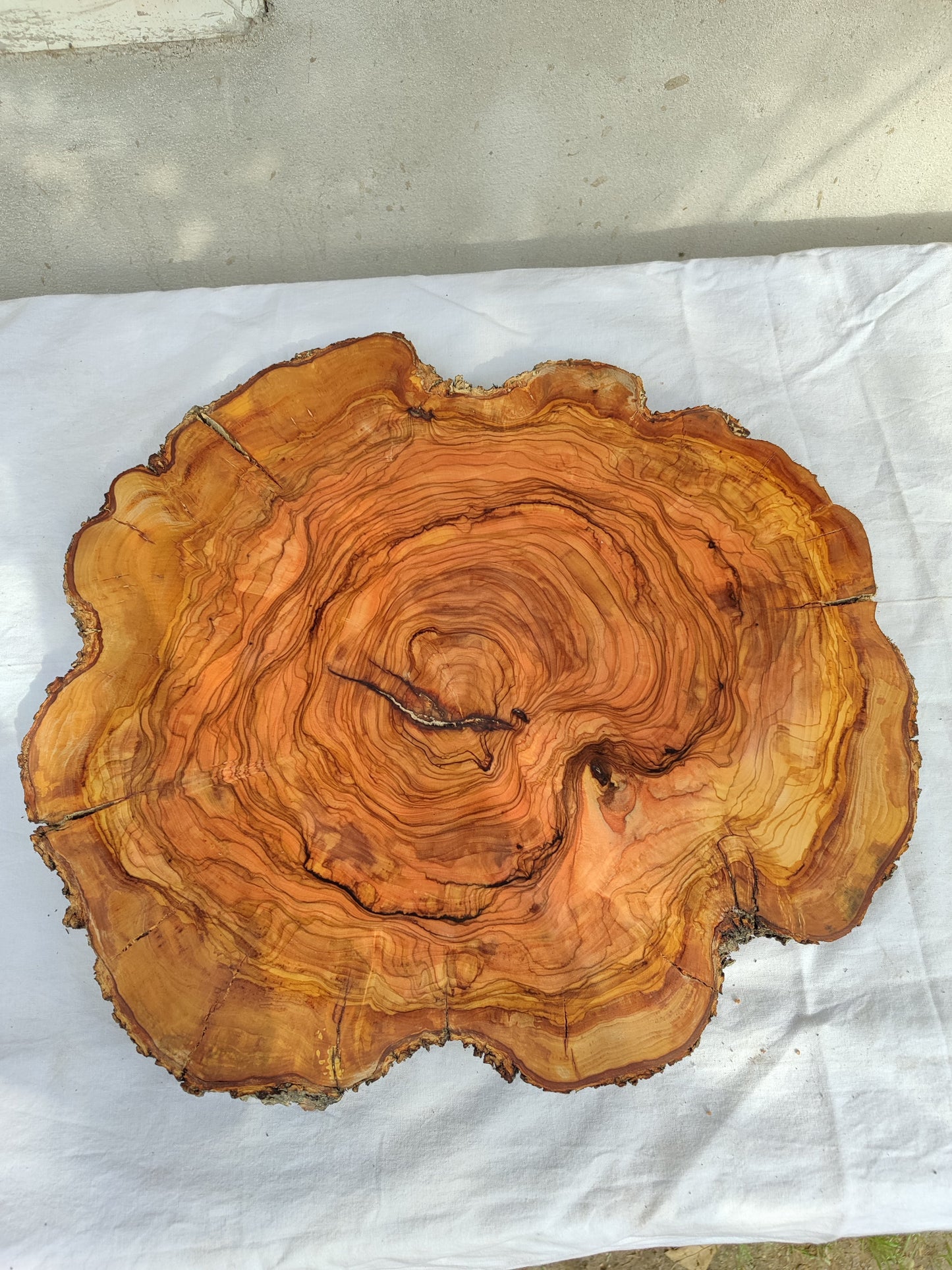 Rare Olive Wood Slab – Live Edge Unique Grain Sustainable Luxury for Epoxy Table & Craft - Olive Generic