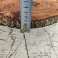 Rare Live Edge Olive Wood Slab - Premium 100% Natural - Unique Grain - Sustainable Luxury - 32x38x2.49 cm