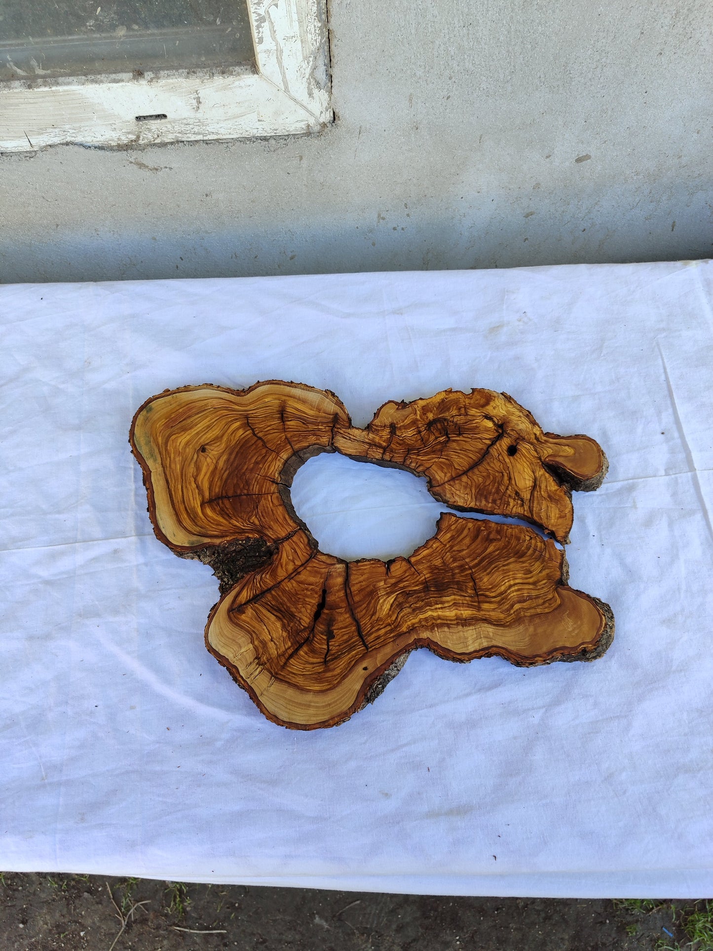 Rare Live Edge Olive Wood Slab 29x40cm | Unique Grain for Epoxy Guitar & Luxury Crafts | Ultra-Dry 3% Moisture Lumber