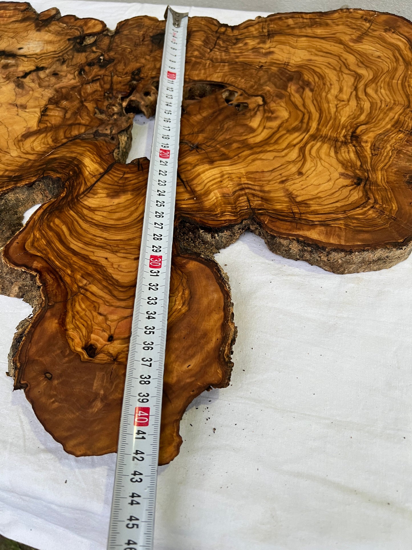 Rare Olive Wood Slab 42x65cm | Live Edge for Epoxy Resin & Wall Art | Unique Grain Sustainable Luxury | Super Dry DIY Craft Wood.