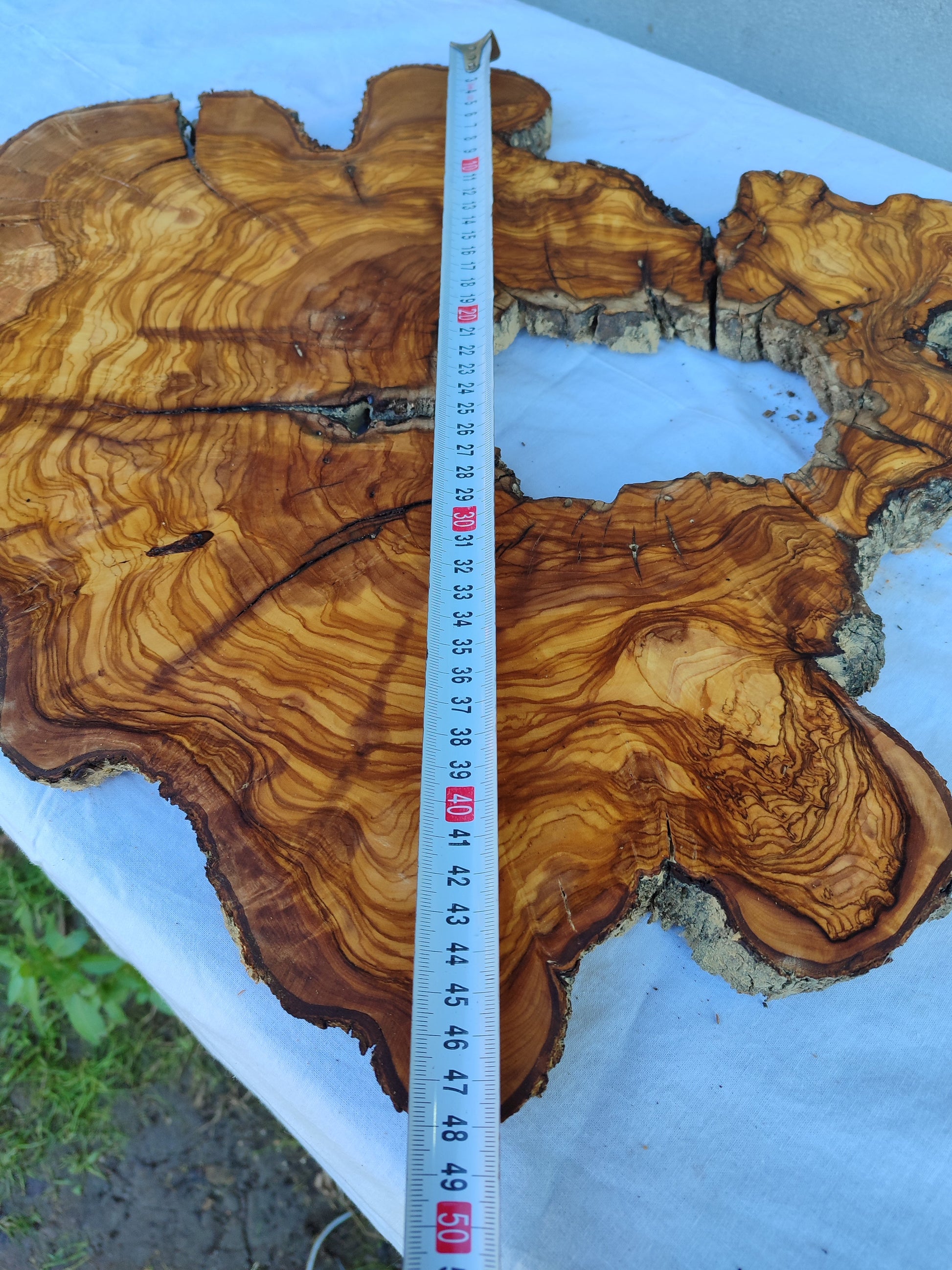 Rare Huge Live Edge Olive Wood Burl Slab 48x52cm - Premium Dry Exotic Lumber for Epoxy Resin Art, Guitar Body & Luxury Coffee Table DIY.