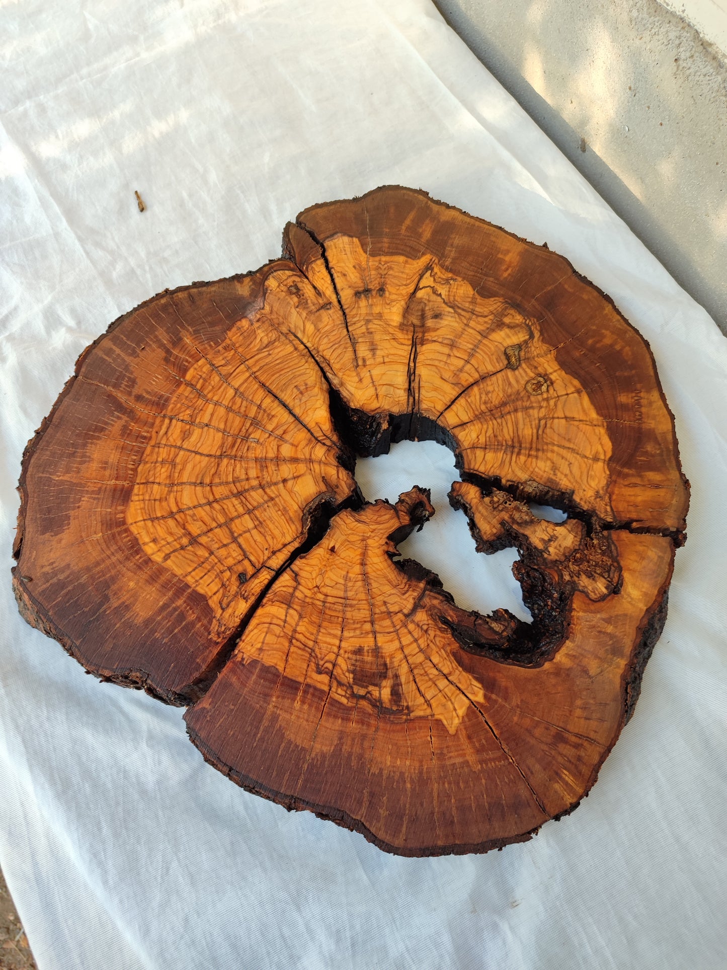 Rare Olive Wood Slab - Live Edge Slab, Unique Grain, Sustainable Luxury - 36x38x2.5 cm