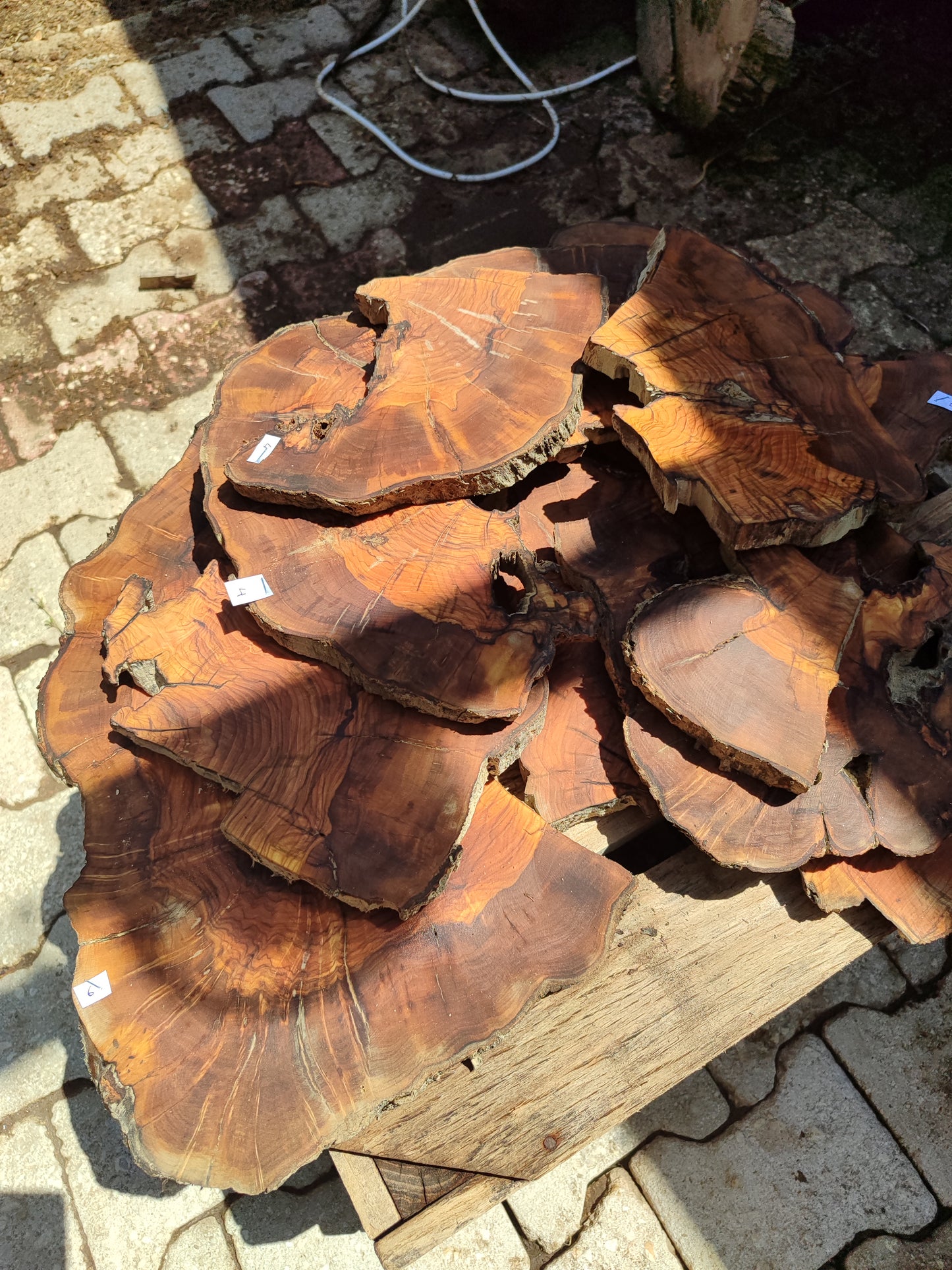Wholesale Live Edge Olive Wood Slabs - Premium Sustainable Luxury, Unique Grain, 10x28x2.5cm for Epoxy & Crafts