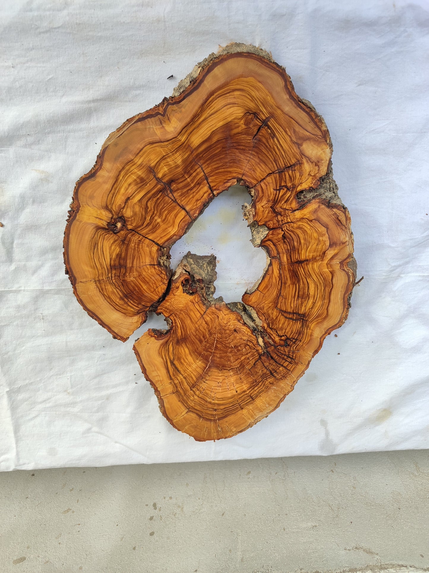 Rare Olive Wood Slab – Live Edge Unique Grain Sustainable Luxury – 29x39x3 cm Epoxy Friendly - Olive Generic