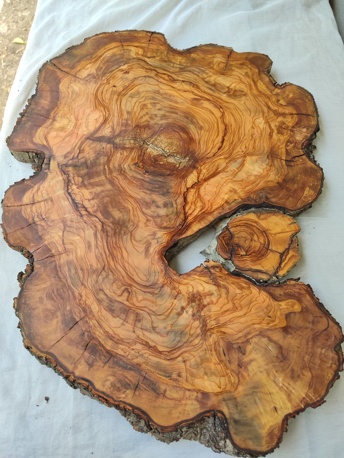 Epoxy Resin Olive Wood Slab Live Edge 37x50cm Coffee Table