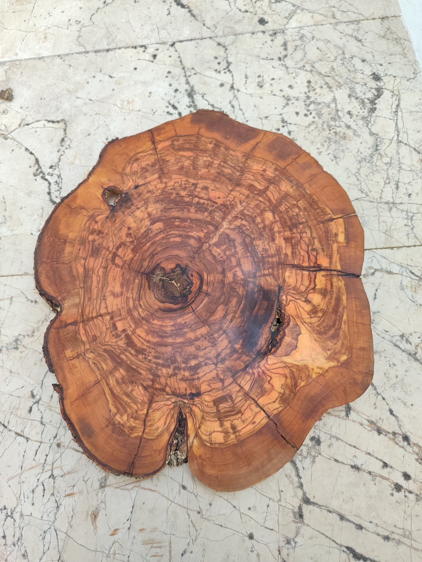 Rare Olive Wood Slab - Live Edge Premium Natural Luster - Sustainable Luxury, Unique Grain, 33x40x2.5 cm