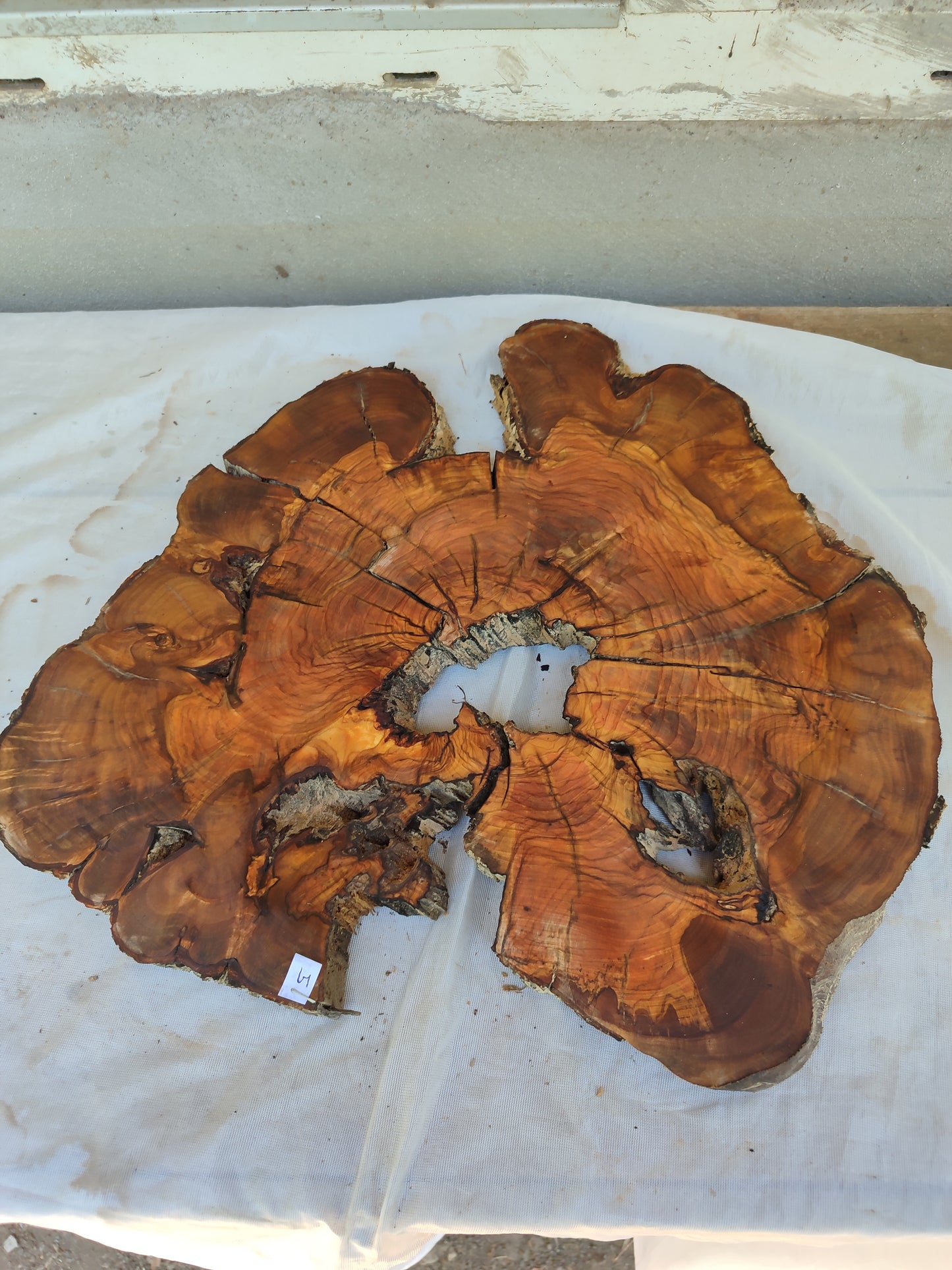Rare Olive Wood Slab – Live Edge, Unique Grain, Sustainable Luxury | 40x44x2.5 cm