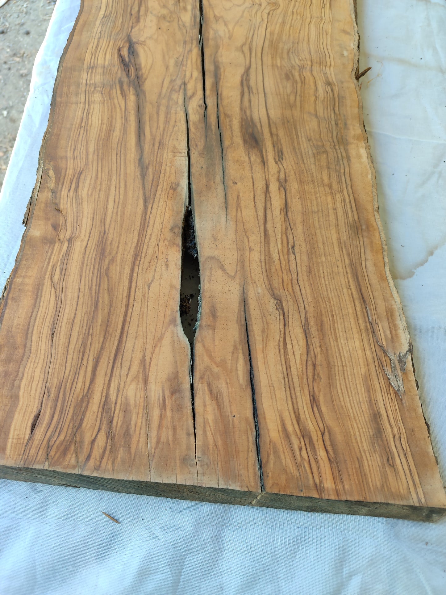 Rare Olive Wood Live Edge Slab – 31x78x3 cm, Unique Grain, Sustainable Luxury