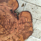 Rare Olive Wood Slab – Live Edge, Unique Grain, Sustainable Luxury for Epoxy, Table & Craft