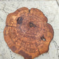 Rare Olive Wood Slab - Live Edge Premium Natural Luster - Sustainable Luxury, Unique Grain, 33x40x2.5 cm