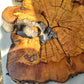 Thick Olive Wood Slab Live Edge 43x44x6cm Epoxy Statement