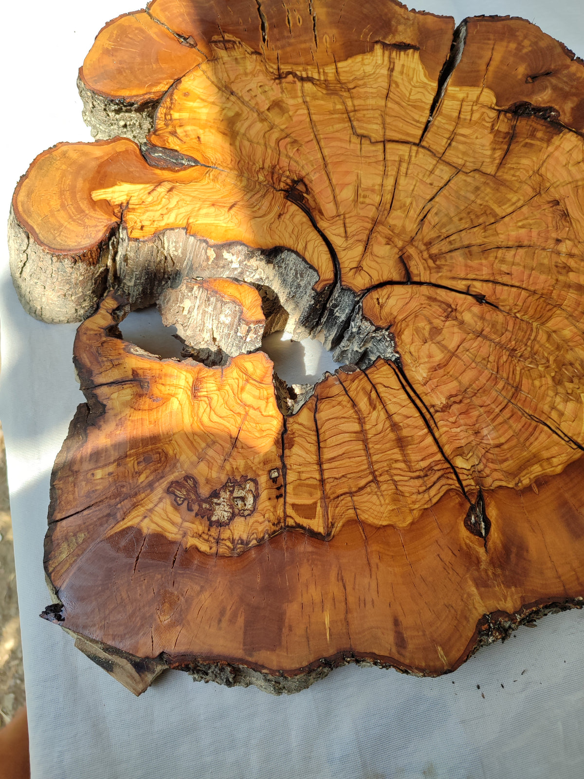 Thick Olive Wood Slab Live Edge 43x44x6cm Epoxy Statement