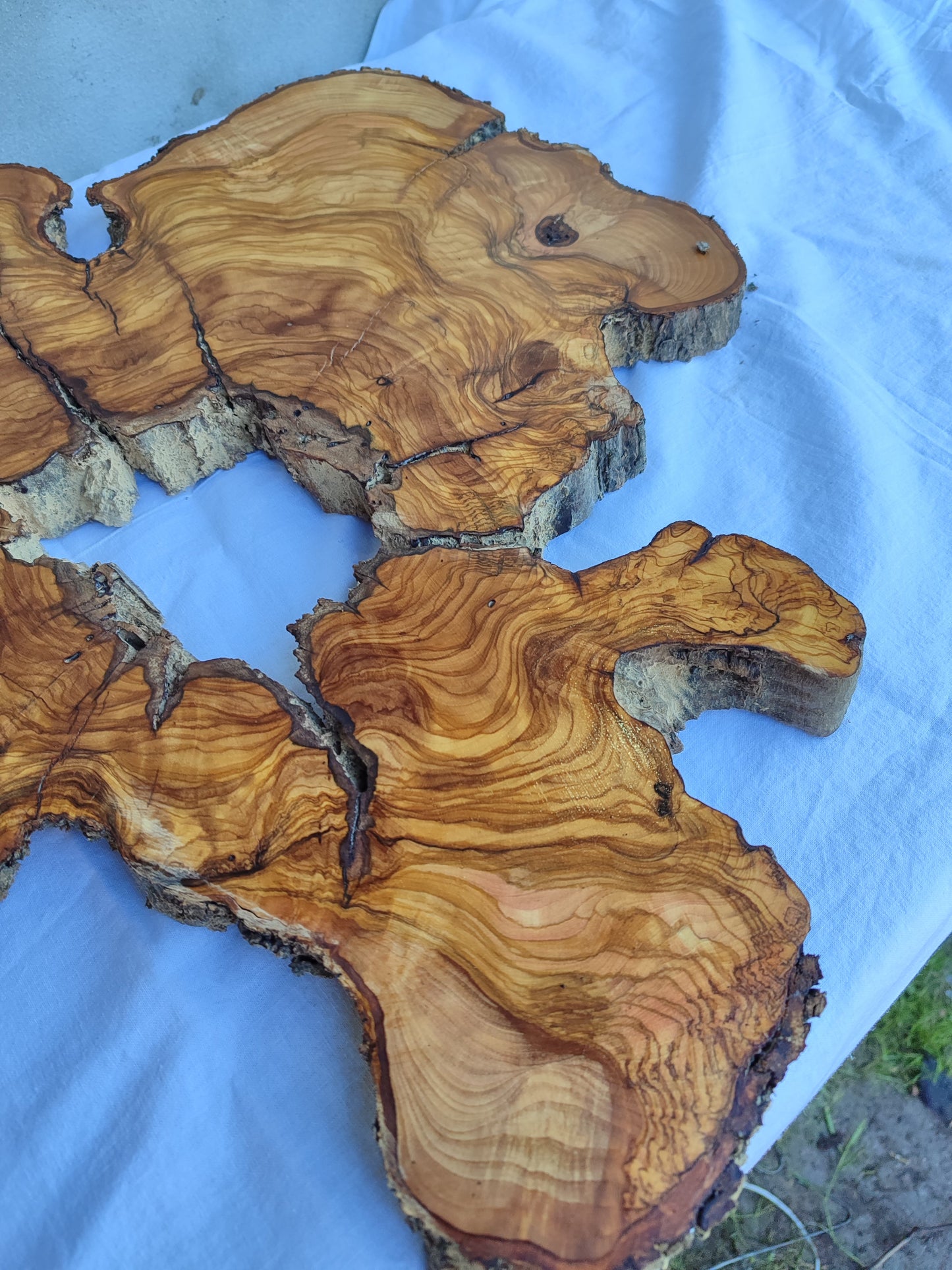 Rare 300yr Old Olive Wood Slab | Huge Live Edge for Epoxy Resin | Super Dry Unique Grain | Luthier Guitar Body & Clock Base | Luxury DIY.