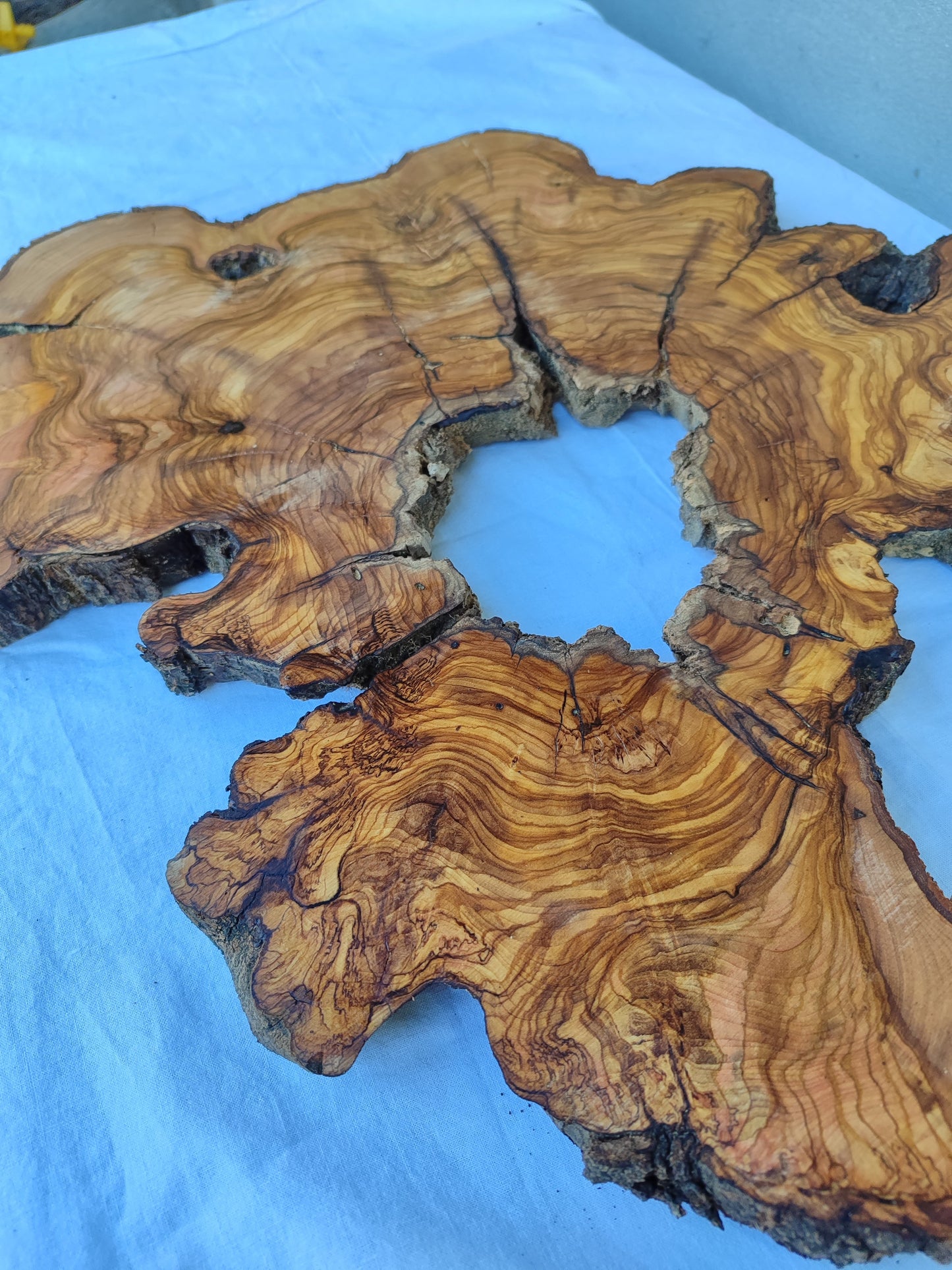 Rare Olive Wood Slab 51x51cm | Live Edge for Epoxy Resin & Coffee Table.