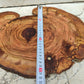 Rare Olive Wood Slab – Live Edge Slab, Unique Grain, Sustainable Luxury – 32x38x2.5 cm for Epoxy, Table & Craft
