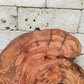 Rare Live Edge Olive Wood Slab - Premium 100% Natural - Unique Grain - Sustainable Luxury - 32x38x2.49 cm