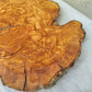 Rare Olive Wood Live Edge Slab – 39x44x3 cm Unique Grain Sustainable Luxury for Epoxy & Luxury Crafts - Olive Generic