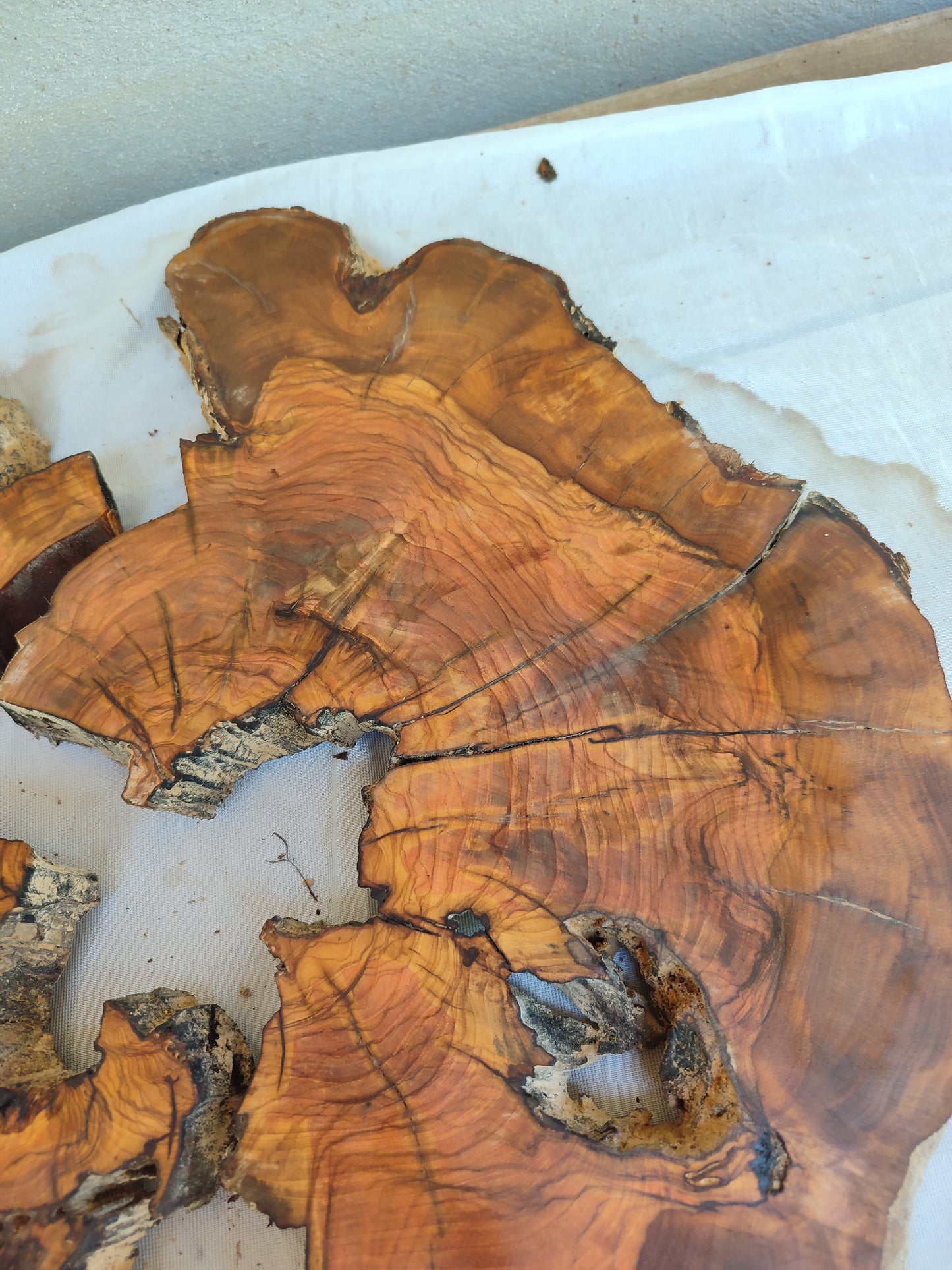 Rare Olive Wood Slab – Live Edge, Unique Grain, Sustainable Luxury | 40x44x2.5 cm