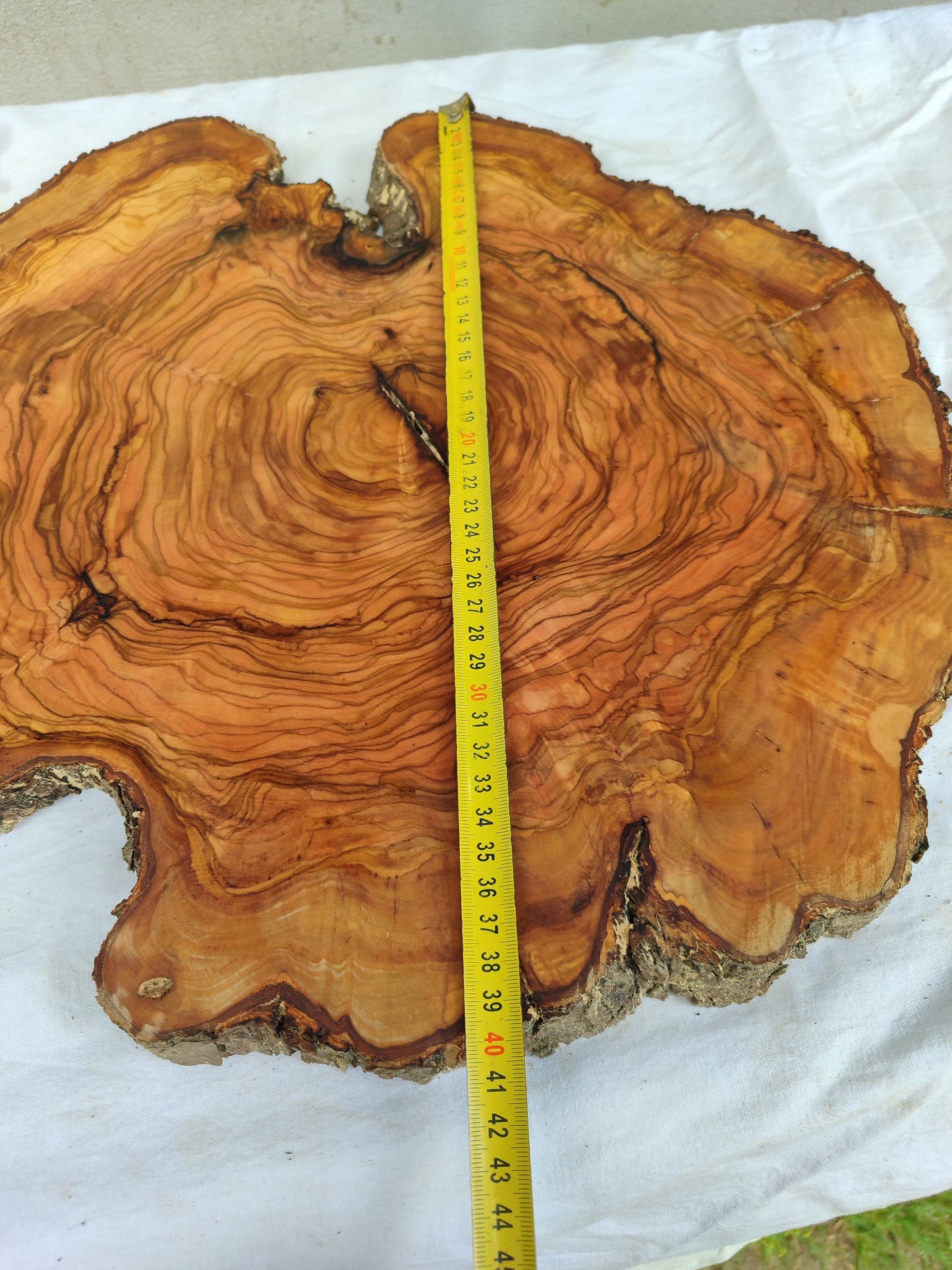 Rare Olive Wood Slab – Live Edge Unique Grain Sustainable Luxury – 40x42x2.5cm Premium Natural Luster - Olive Generic