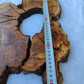 Rare Live Edge Olive Wood Slab 29x40cm | Unique Grain for Epoxy Guitar & Luxury Crafts | Ultra-Dry 3% Moisture Lumber