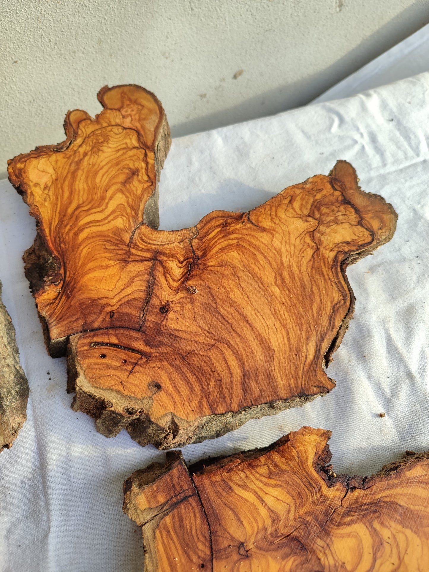 Rare Olive Wood Slab 53x55cm - Live Edge for Epoxy Resin & Coffee Table.