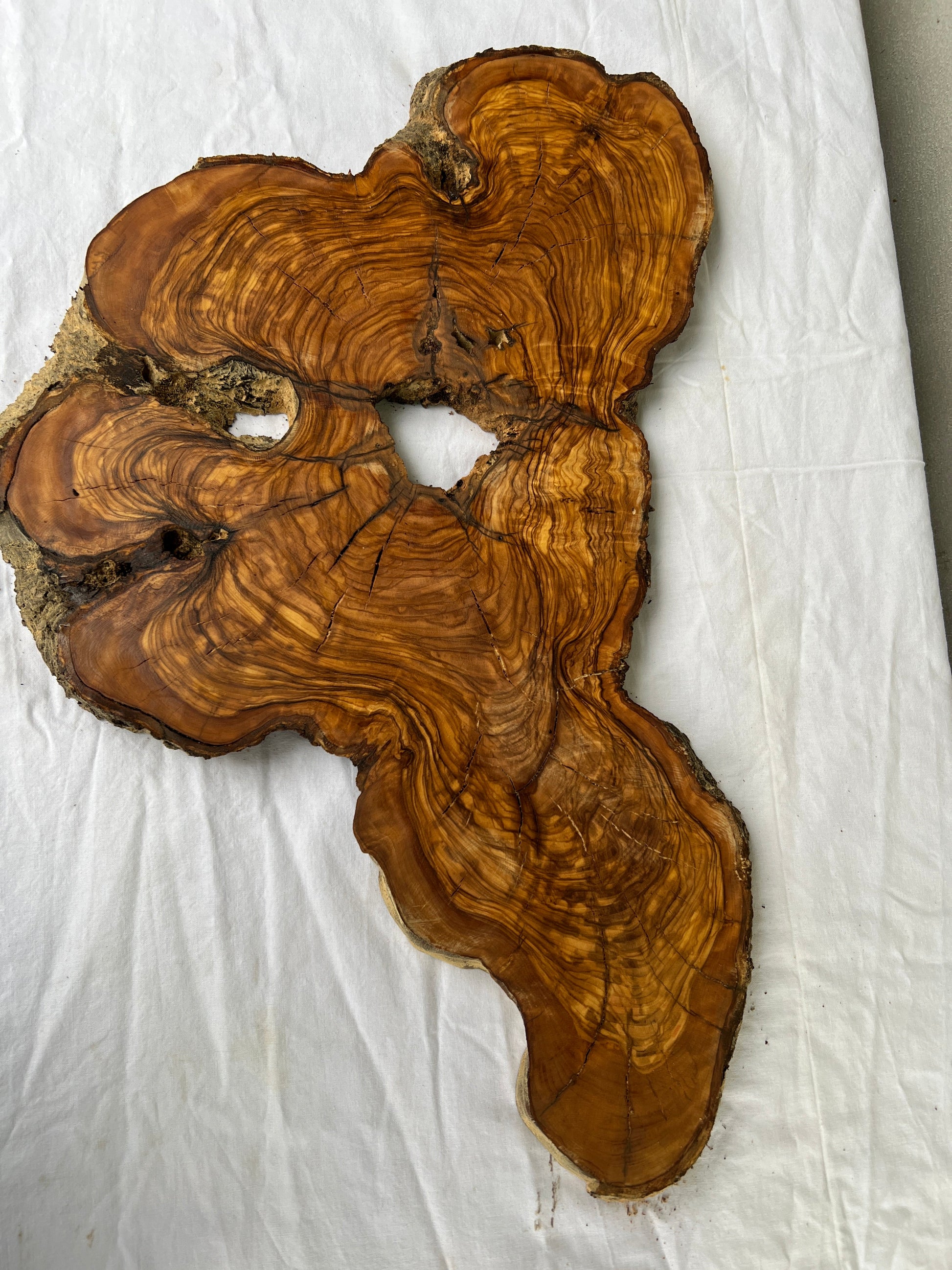Rare Olive Wood Slab 53x30cm Live Edge for Epoxy Resin Art, Luxury Coffee Table & Clock Making | Super Dry 3% Moisture Unique Grain DIY.