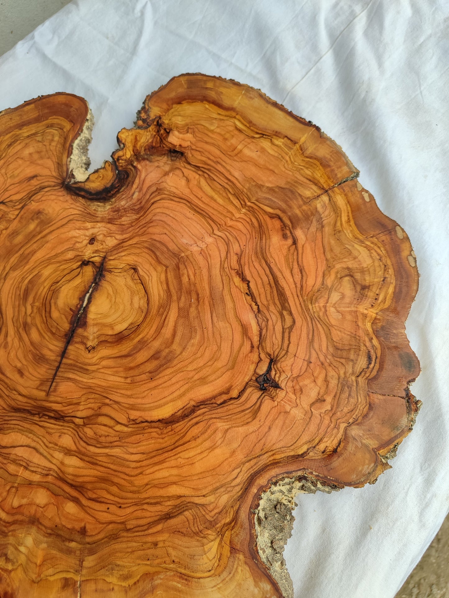 Rare Olive Wood Slab – Live Edge Unique Grain Sustainable Luxury – 39x43x2.5cm Premium Natural Luster Epoxy Friendly