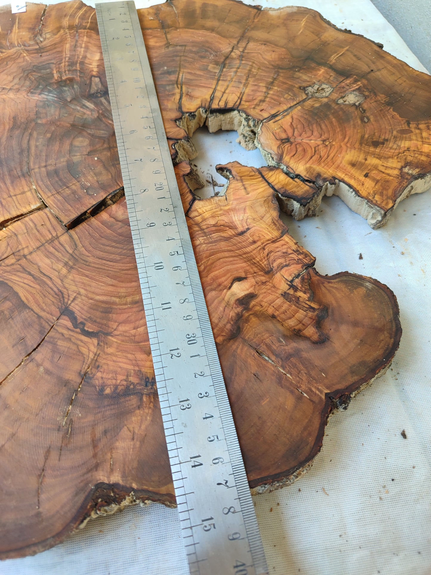 Rare Live Edge Olive Wood Slab – 37x43x2.5 cm, Natural Luster, Unique Grain, Sustainable Luxury for Epoxy & Art