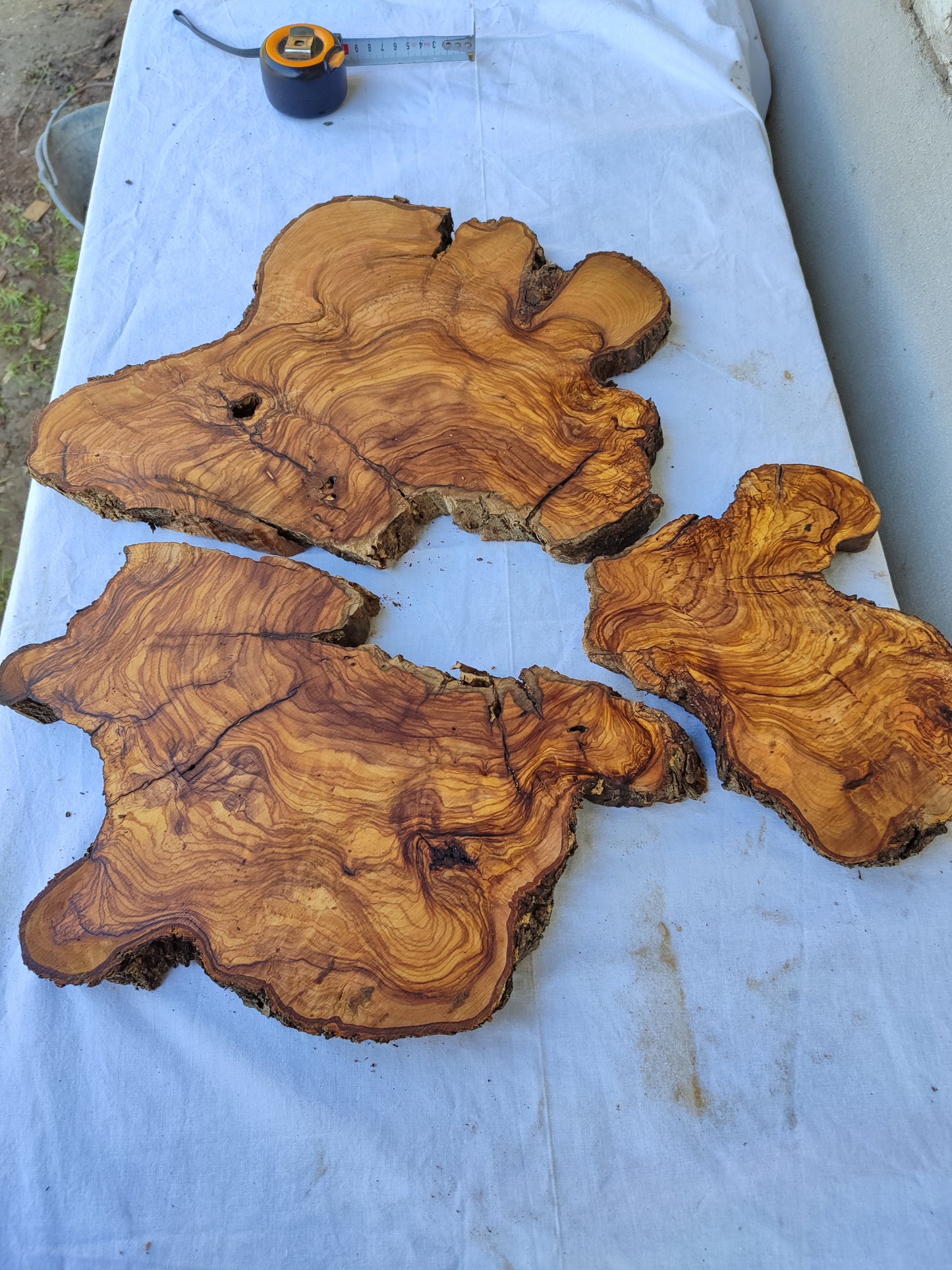 Rare Olive Wood Slab 51x53cm | Premium Live Edge for Epoxy Resin, Clock, Guitar Body | Ultra Dry Sustainable Luxury DIY Lumber.