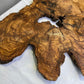 Rare Olive Wood Slab 43x66cm | Live Edge for Epoxy Resin & Coffee Table | Premium Dry Luthier Wood | Unique Grain Sustainable Luxury Art.
