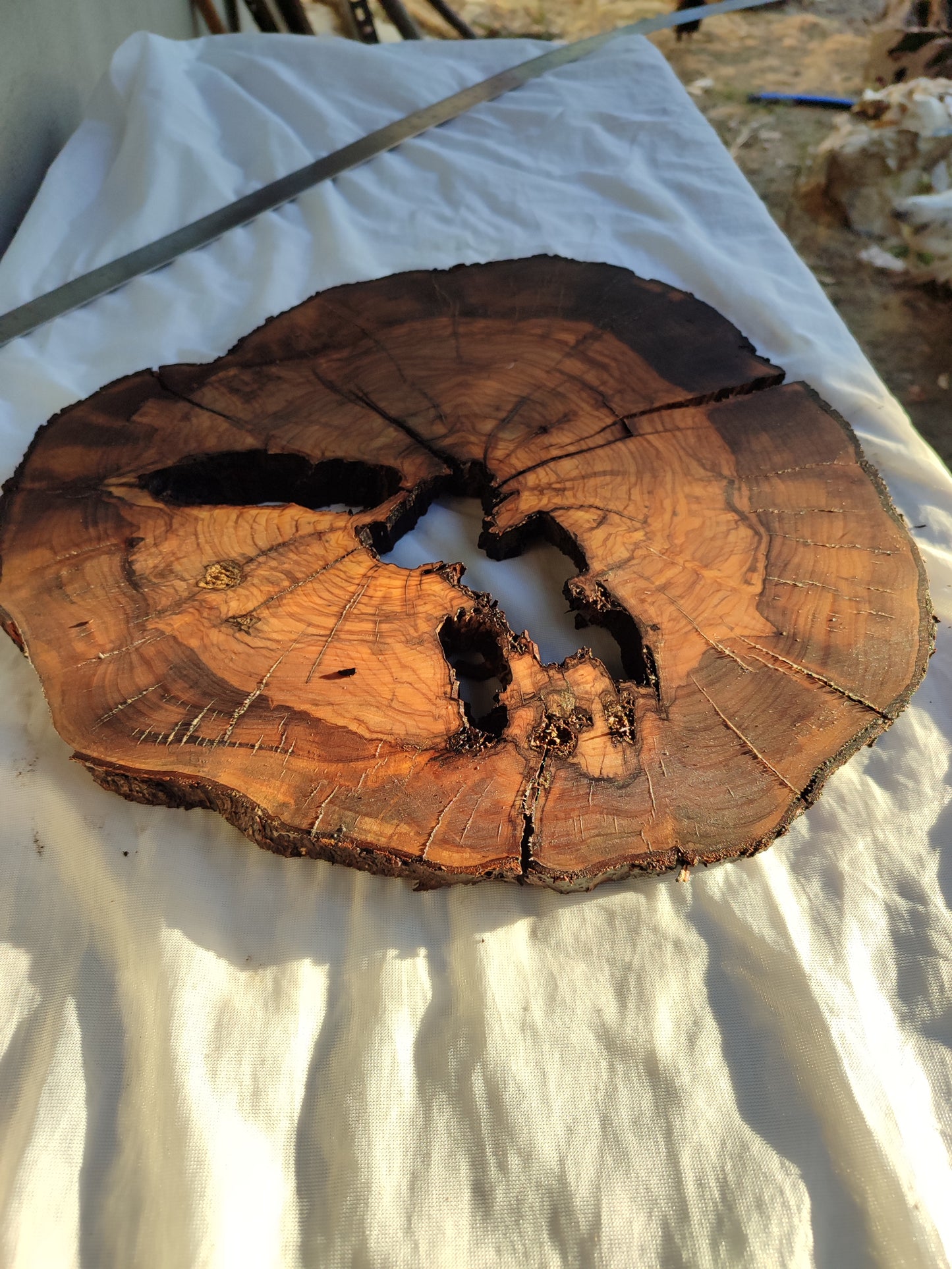 Rare Olive Wood Slab – Live Edge, Unique Grain, Sustainable Luxury for Epoxy & Artisan Crafts (37x37x2.5 cm)