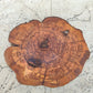 Rare Olive Wood Slab - Live Edge Premium Natural Luster - Sustainable Luxury, Unique Grain, 33x40x2.5 cm